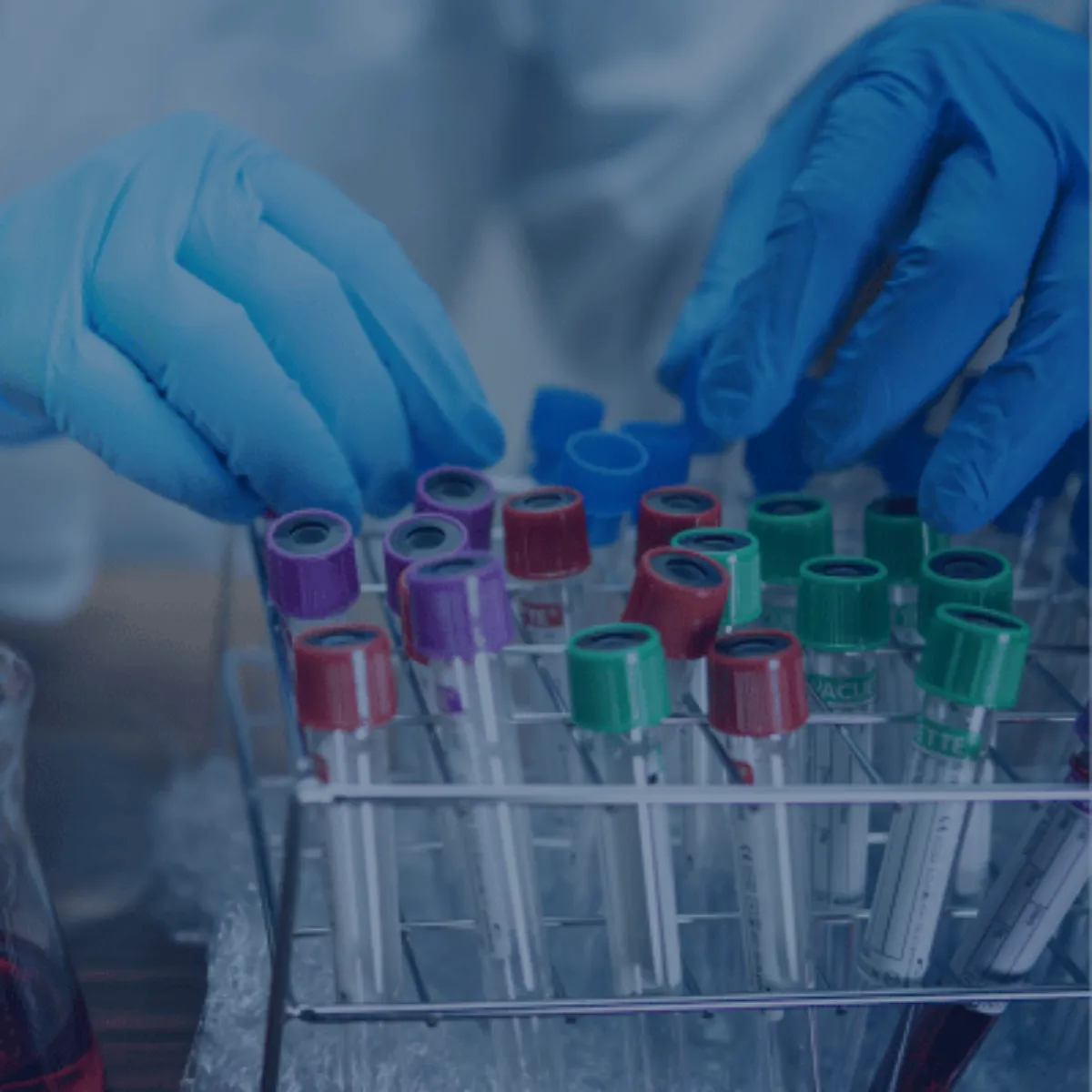 Longevite pharmaceutical laboratories