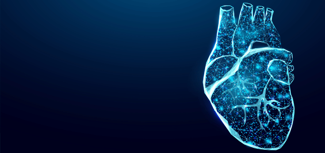 Longevity heart illustration